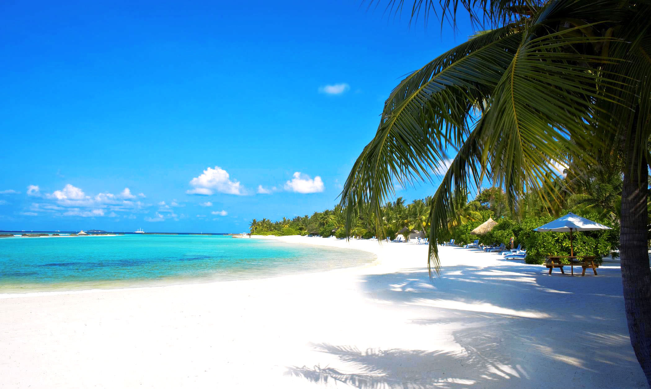 fond-ecran-hd-paysage-plage-tropicale-sable-blanc-palmier-mer-turquoise-wallpaper-beach-picture-image-2.jpg
